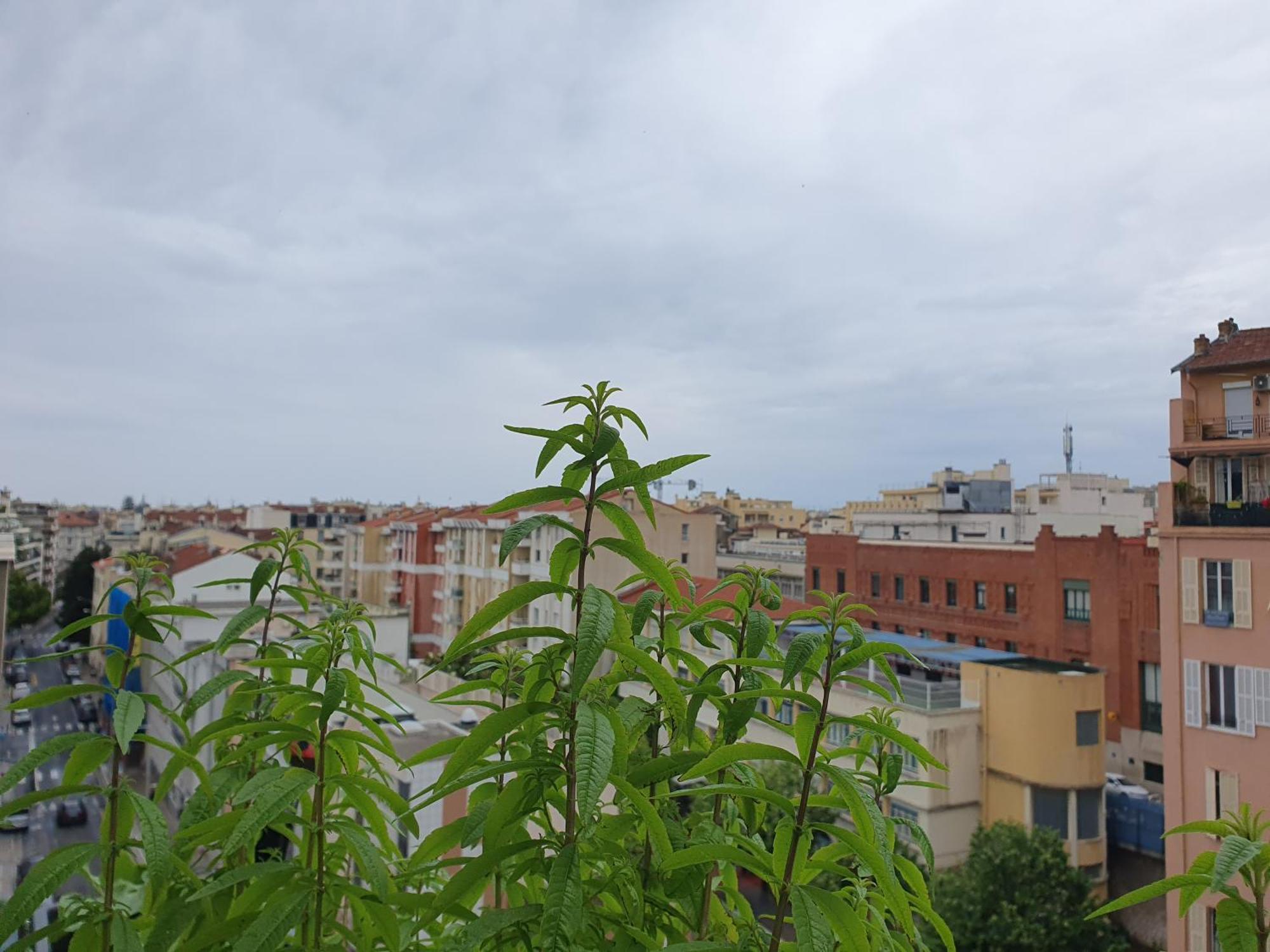 Wonderful Heart Of Privatunterkunft Nizza